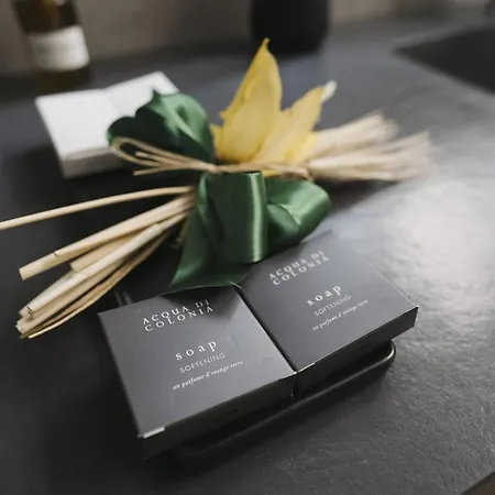 Domus Rosae פוטנצה