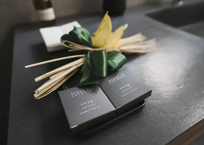 Domus Rosae 포텐자